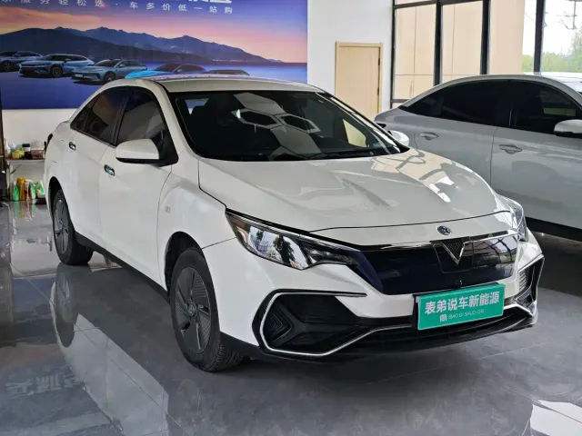 Venucia D60 EV — Фото автомобиля 6