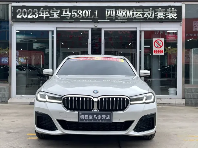 BMW 5 Series — Фото автомобиля 3