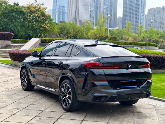 BMW X6 — Фото автомобиля 20
