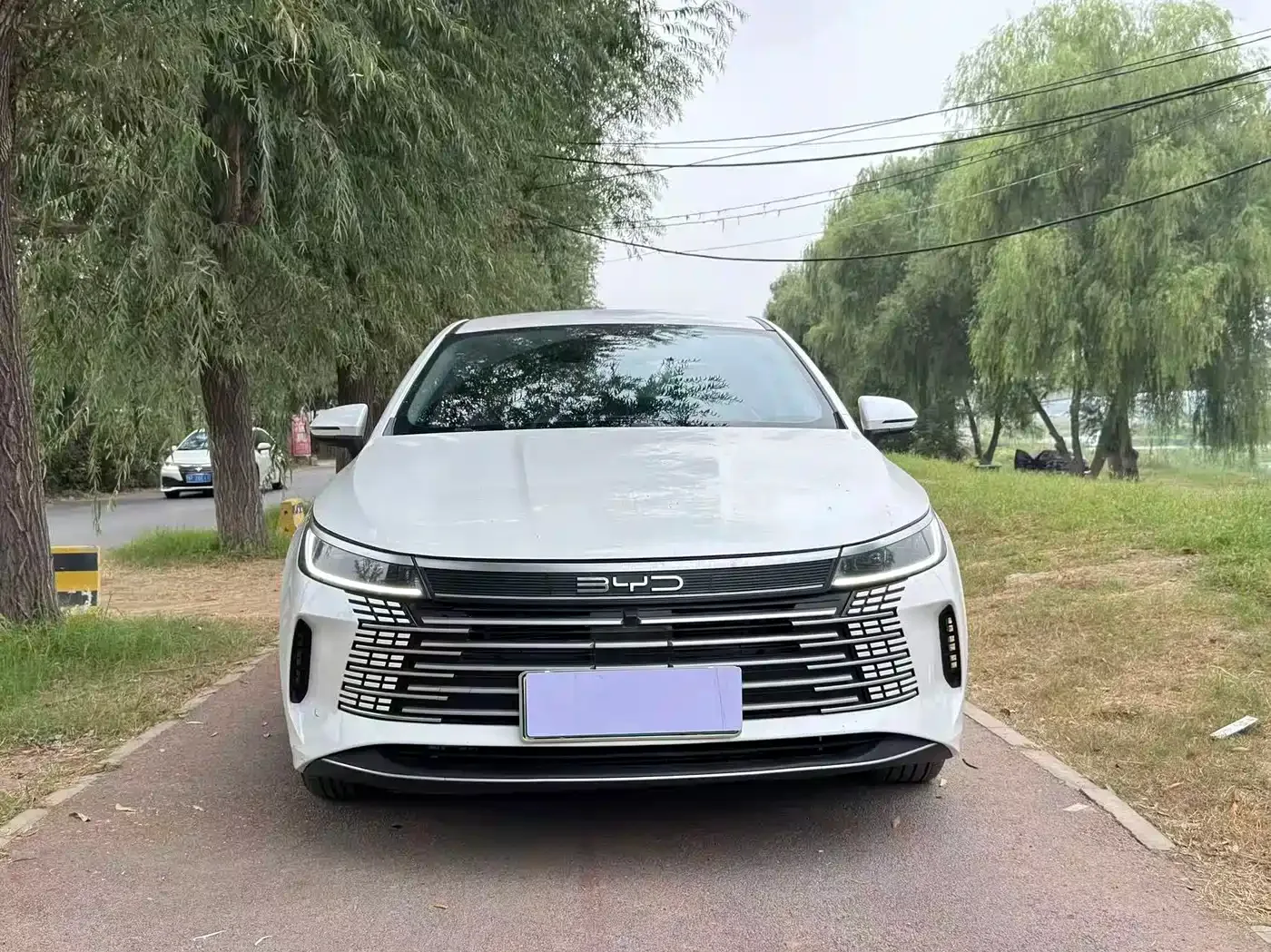 BYD Destroyer 05 2023 Champion Edition DM-i 55KM Luxury — Фото автомобиля 2