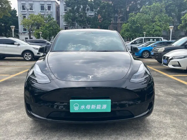 Tesla Model Y — Фото автомобиля 2