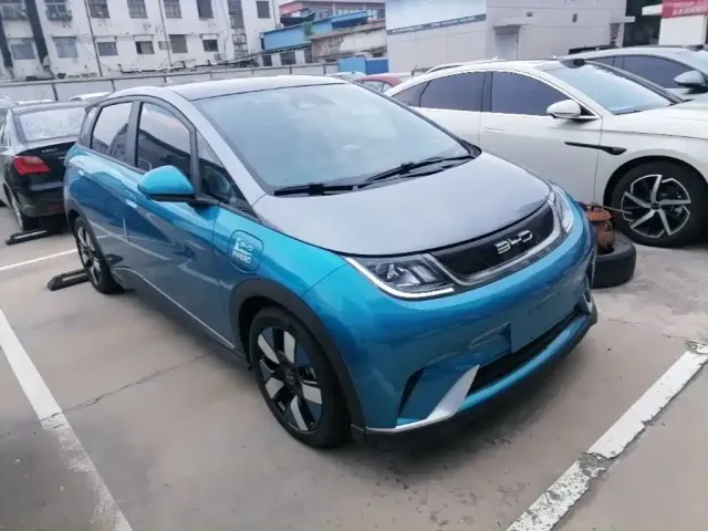 BYD Dolphin 2021 401km Knight Edition — Фото автомобиля 21