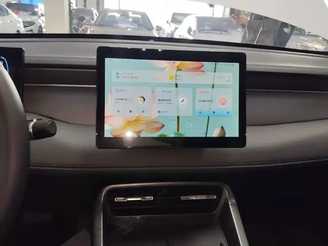 BYD Qin PLUS — Фото автомобиля 12