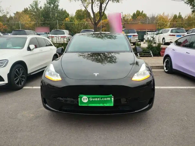 Tesla Model Y — Фото автомобиля 2