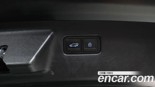 Hyundai Santafe Santa Fe (MX5) Бензин 2.5T 2WD — Фото автомобиля 20