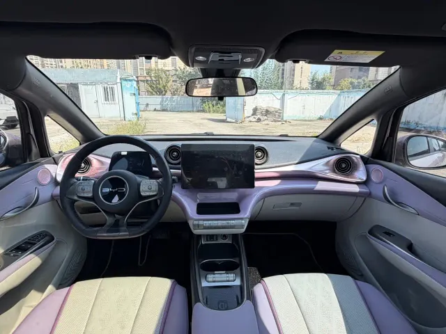BYD Dolphin — Фото автомобиля 16