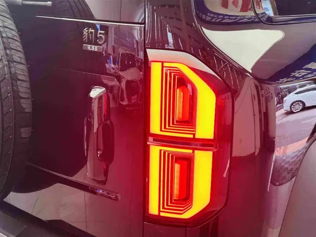 BYD FangChengBao Leopard 5 — Фото автомобиля 13