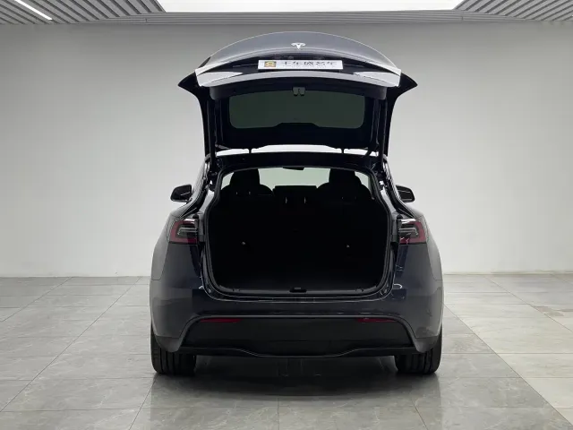 Tesla Model Y — Фото автомобиля 10