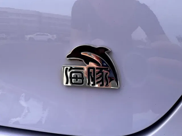 BYD Dolphin — Фото автомобиля 20