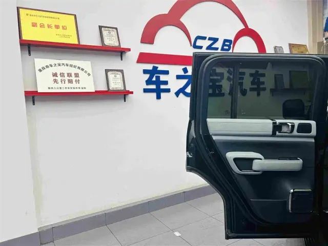 BYD FangChengBao Leopard 5 — Фото автомобиля 25