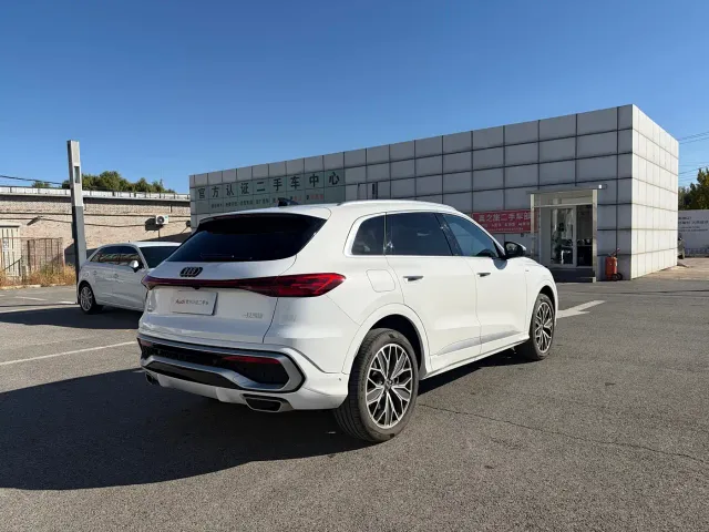 Audi Q5L — Фото автомобиля 6