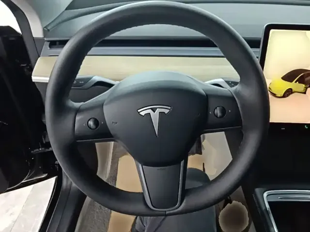 Tesla Model Y — Фото автомобиля 10
