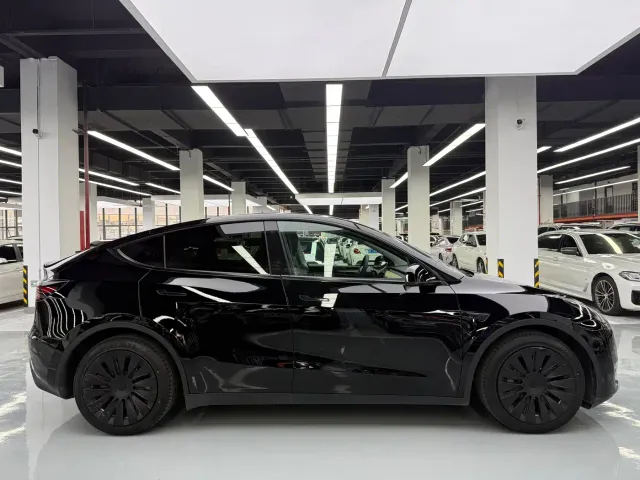 Tesla Model Y — Фото автомобиля 4
