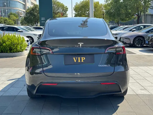 Tesla Model Y — Фото автомобиля 5