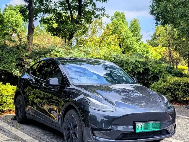 Tesla Model Y — Фото автомобиля 11