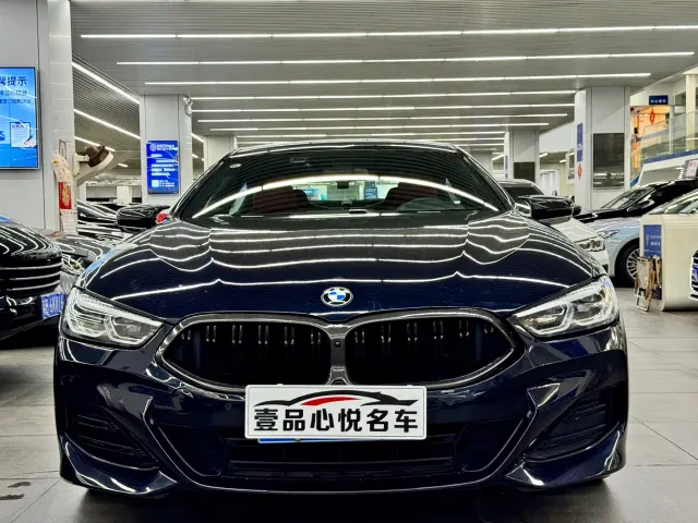 BMW 8 Series — Фото автомобиля 2