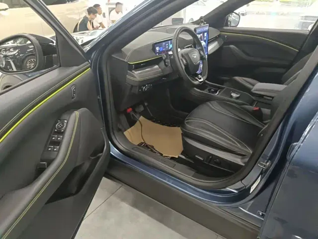 Ford Mustang Mach-E — Фото автомобиля 15