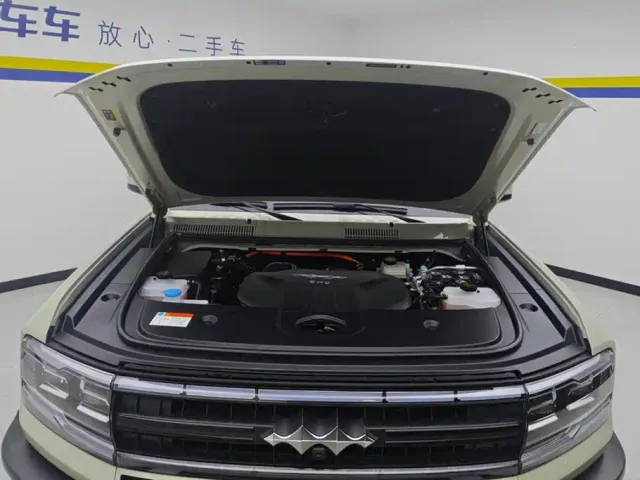 BYD FangChengBao Leopard 5 — Фото автомобиля 10