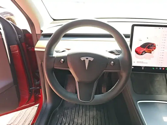 Tesla Model Y — Фото автомобиля 10