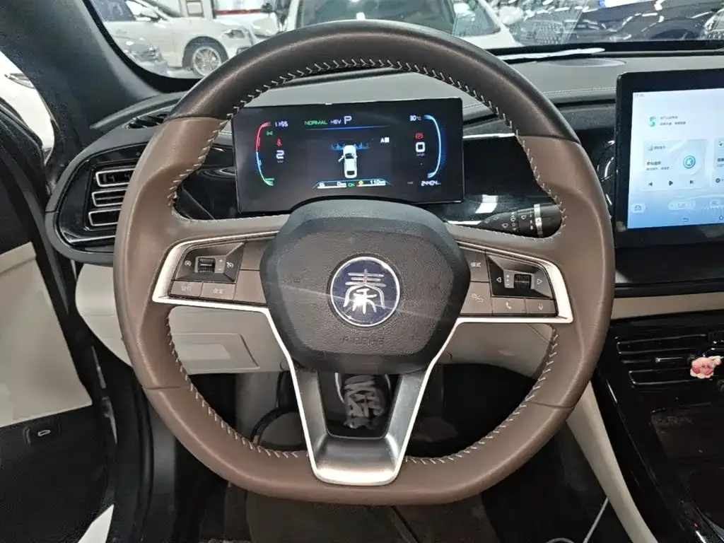 BYD Qin PLUS 2023 Champion Edition DM-i 55KM Leading — Фото автомобиля 6