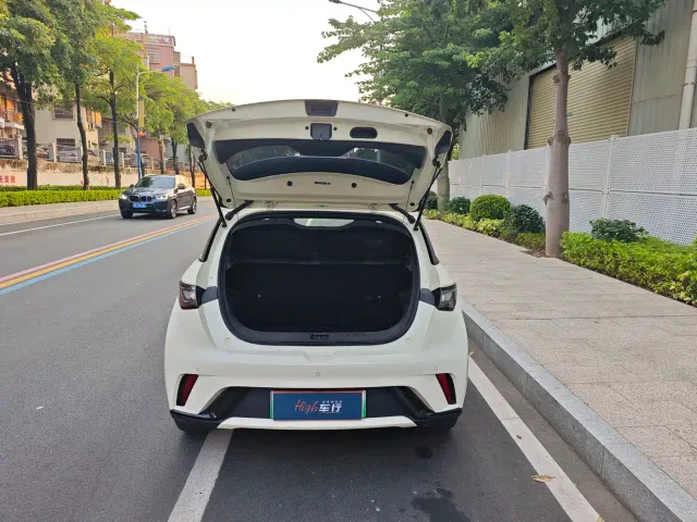 BYD Dolphin — Фото автомобиля 22