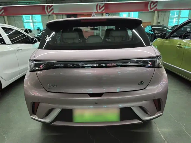 BYD Dolphin — Фото автомобиля 5