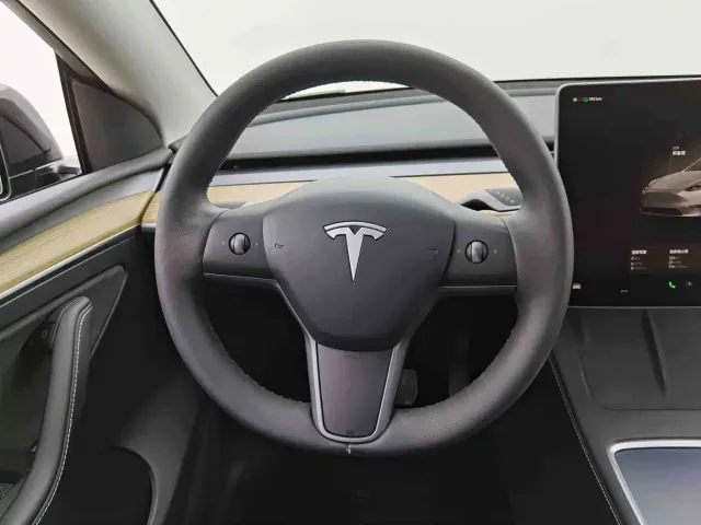 Tesla Model Y — Фото автомобиля 6