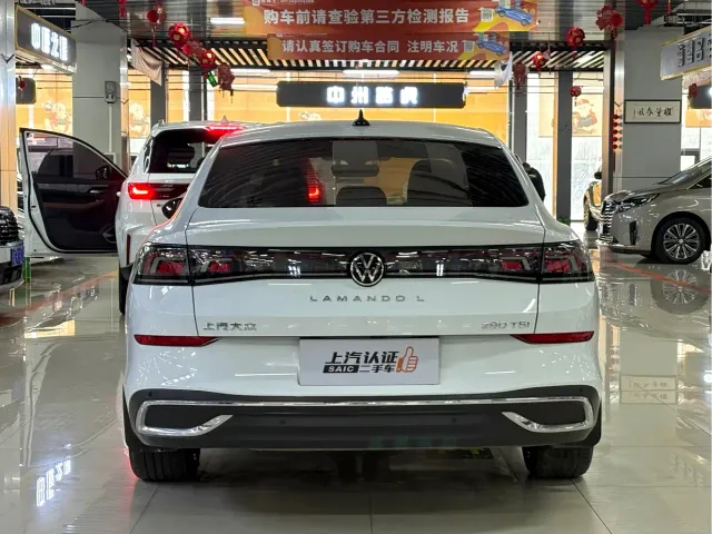 Volkswagen Lamando — Фото автомобиля 10