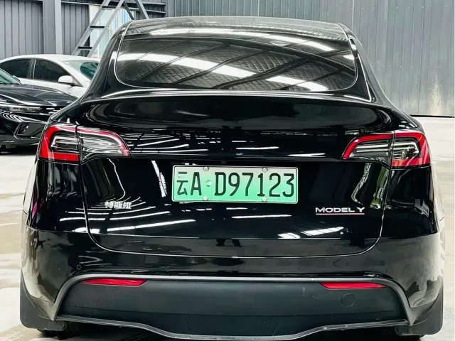 Tesla Model Y — Фото автомобиля 5