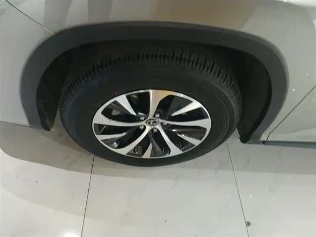 Lexus RX — Фото автомобиля 20