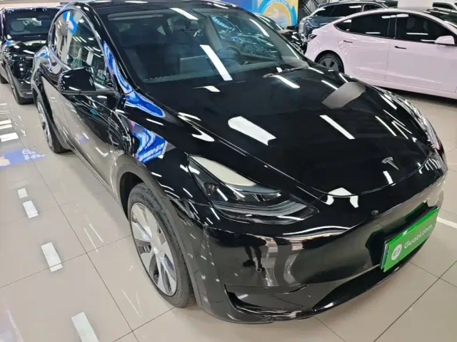 Tesla Model Y — Фото автомобиля 3