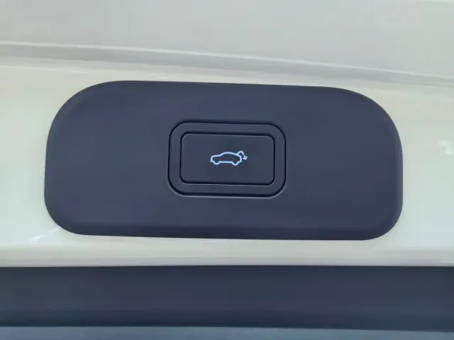 Geely Starry Wish — Фото автомобиля 14