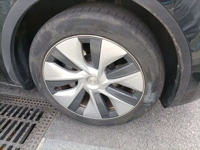 Tesla Model Y — Фото автомобиля 25