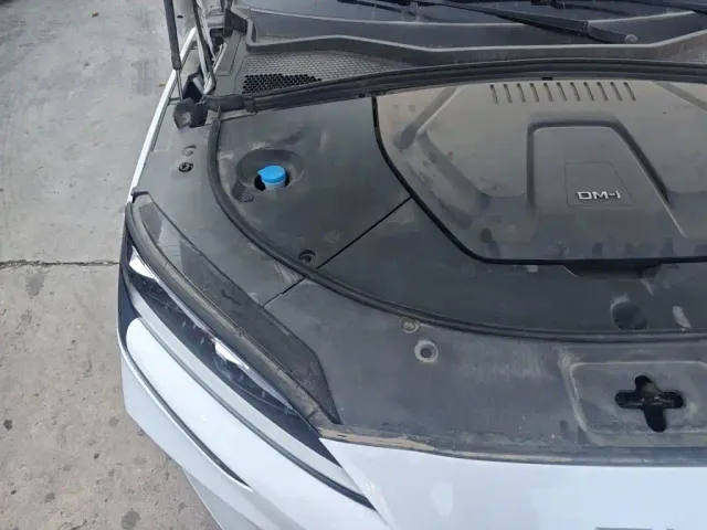 BYD Song PLUS — Фото автомобиля 21