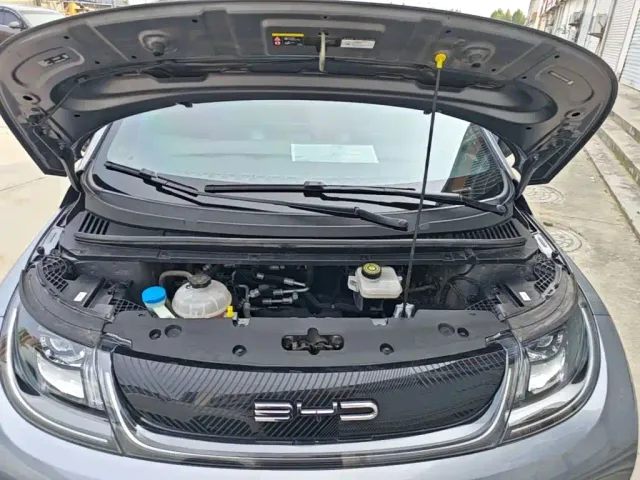BYD Dolphin 2024 Glory Edition 420km Freedom Edition — Фото автомобиля 19