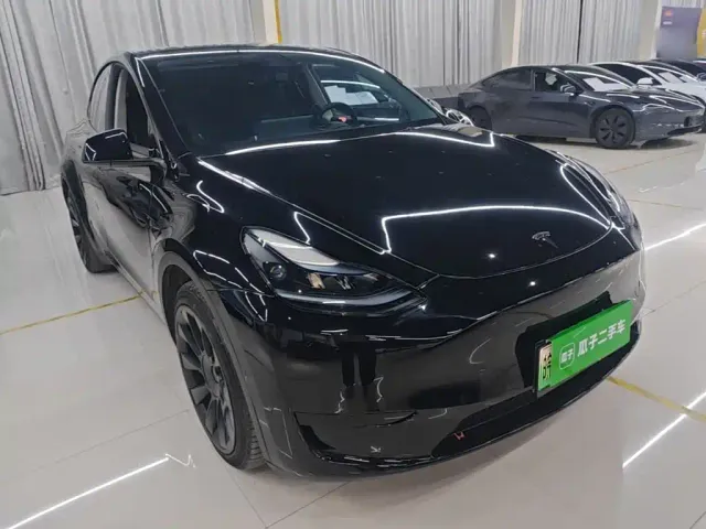 Tesla Model Y — Фото автомобиля 3