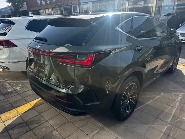Lexus NX — Фото автомобиля 17