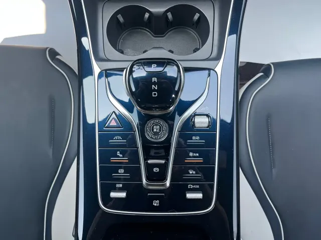 BYD Qin PLUS — Фото автомобиля 18