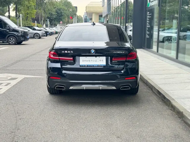 BMW 5 Series — Фото автомобиля 6