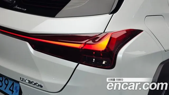 Lexus UX300e — Фото автомобиля 8