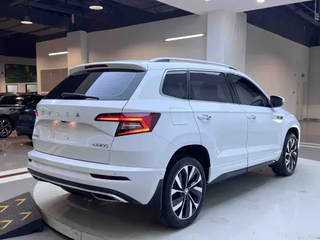 Skoda Karoq — Фото автомобиля 6