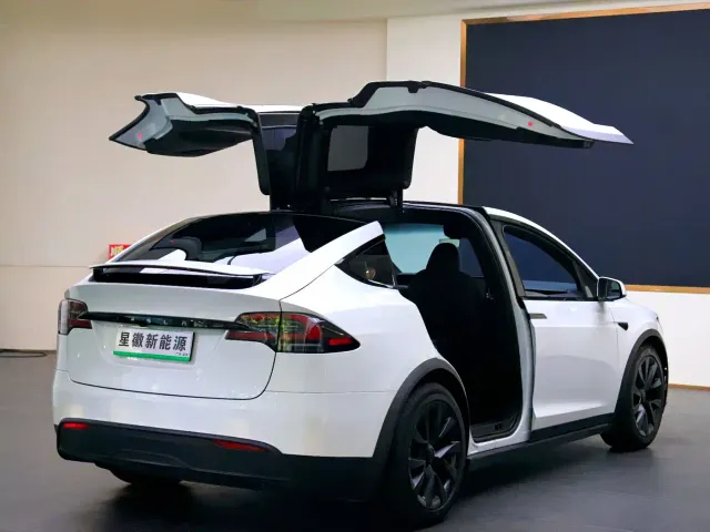 Tesla Model X — Фото автомобиля 20