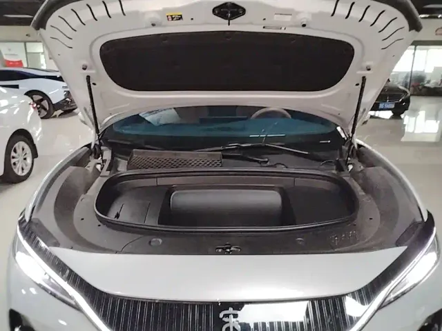 BYD Song L EV 2024 550km Surpassing Type — Фото автомобиля 19
