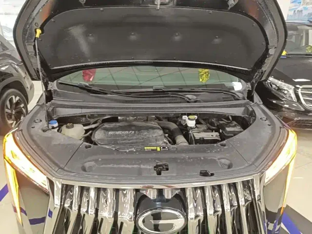 GAC Trumpchi M8 — Фото автомобиля 19
