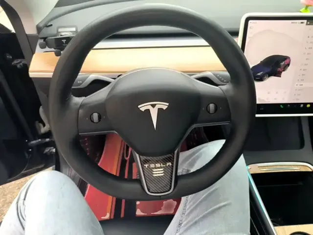 Tesla Model Y 2021 Standard Range Rear-Wheel Drive — Фото автомобиля 10