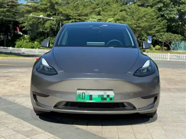 Tesla Model Y — Фото автомобиля 2