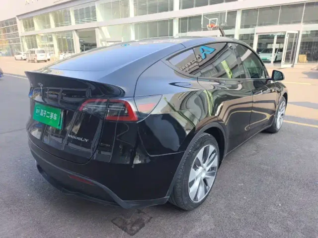 Tesla Model Y — Фото автомобиля 6