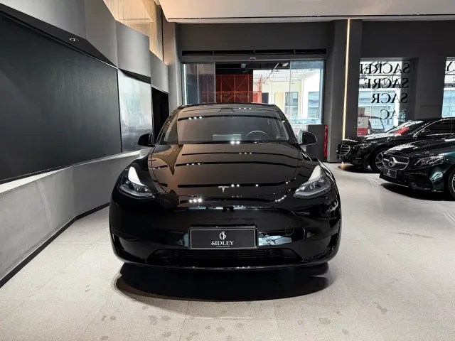 Tesla Model Y — Фото автомобиля 2