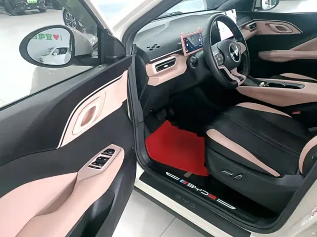 BYD Seagull — Фото автомобиля 15