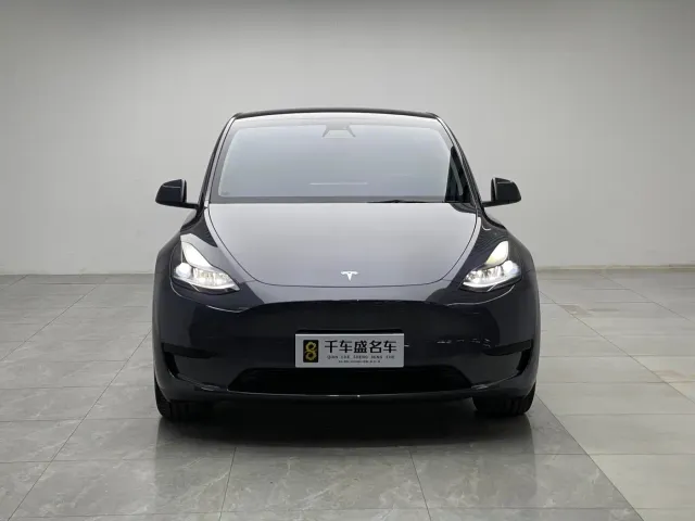 Tesla Model Y — Фото автомобиля 2